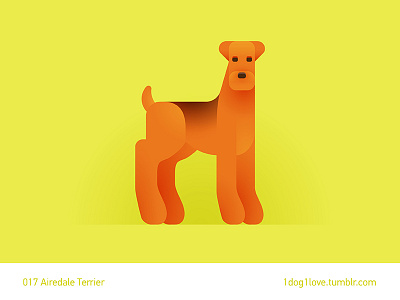 Airedale terrier airedale airedale terrier animal cute design dog flat illustration illustrator puppy terrier