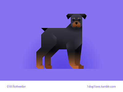 Rottweiler animal cute design dog flat illustration illustrator puppy rottweiler
