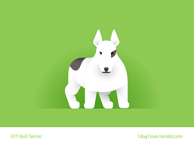 Bull terrier animal bull terrier design dog flat illustration illustrator puppy