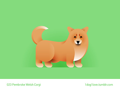Pembroke welsh corgi animal corgi cute design dog flat illustration illustrator puppy