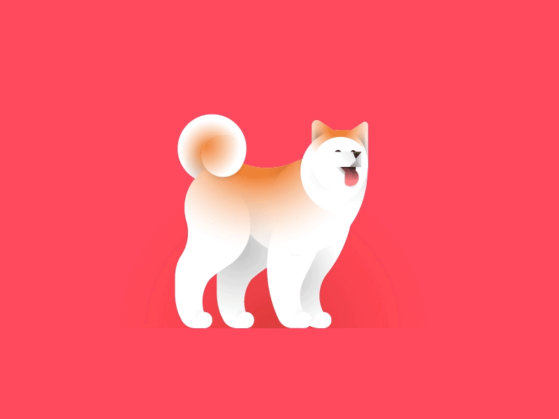 Akita Inu akita inu animal cute design dog flat illustration illustrator motion puppy
