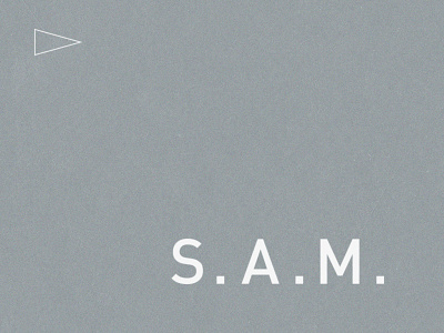 S.A.M. din flag logo sam somethingamonth type typography