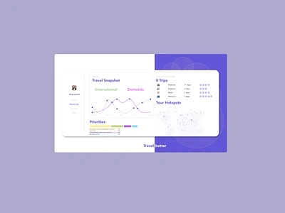 Travel Snapshot (Daily UI 018, Data Analytics) analytics dailyui018 dailyuichallenge data dataanalytics graphic design travel ui ux vector