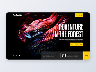 Adventure in the Forest branding graphic design