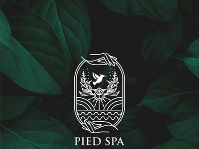 PIED SPA branding graphic design logo