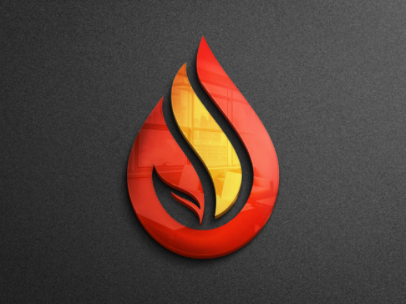 Fire logo. Burning flame hot vector symbols collection business identity.  Illustration fire logo, hot orange blaze Stock Vector | Adobe Stock