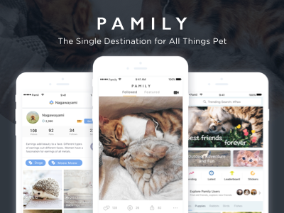 Pamily App animal app mobile pet screen ui ux