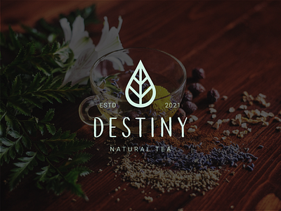 Destiny - Brand & Identity