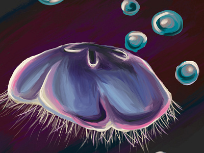 Moon Jelly design illustration nature ocean painting photoshop
