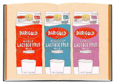 DARIGOLD MILK design illustraion illustration art illustrator