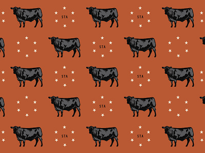 Pacetti Farms - I 3 color brand identity branding cattle cows illustration yeehaw