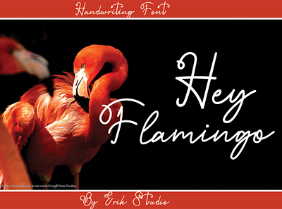 Hey flamingo font luxury