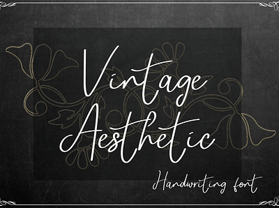 Vintage Aesthetic branding design font font design font family logo