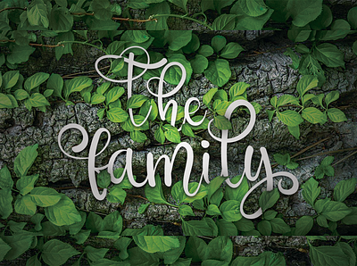 The Family font branding design font font design font family