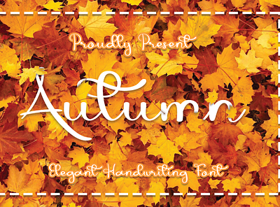 Autumn Font branding design font font design font family logo luxury