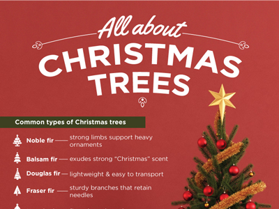 Christmas Trees Infographic architecture art christmas design graphic infographic information trees