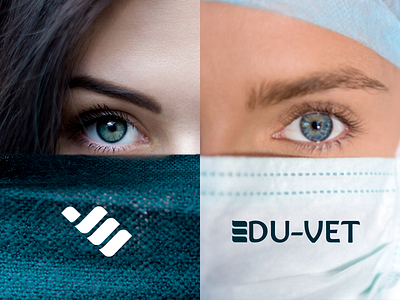 Vet Logo | Edu-Vet blue letter e letter v logo medical vet