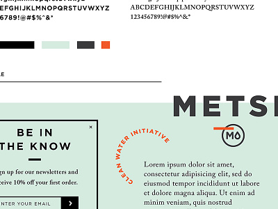 Metsi - Clean Water Initiative branding typography