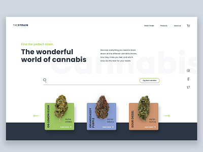 The Strain Cannabis Concept cannabis cannabis design concept ui website