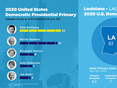 Louisiana Democratic Primary Feb 2020 data visualization dataviz democratic design editorial design graphic design infographic infographic design infographic elements