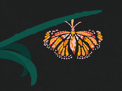 Caterpillar to butterfly illustrated animation 2d abstract animal animation butterfly colorful digitalart drawing evolution flatdesign gif illo illustration interactive metamorphisis nature procreate transformation vector yellow