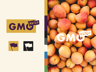 GMO Watch Branding and Blog Design blog branding colors flat health icon illustration logo organic san diego style guide ui web