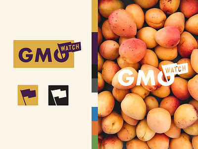 GMO Watch Branding and Blog Design