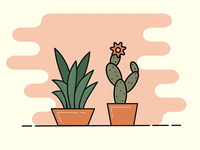 Succulent and cactus