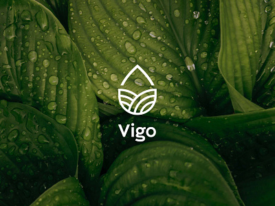 Vigo Branding branding design logo