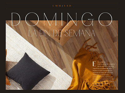 Domingo Poster - Experimental clean layout minimal modern poster type typography