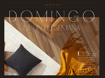 Domingo Poster - Experimental