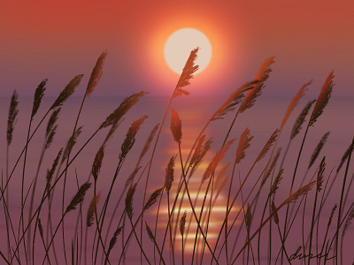 Sunriseparadise art design earth realistic