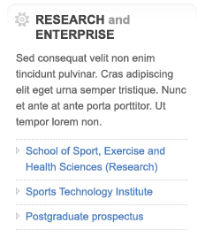 Loughborough University Sport - Research and Enterprie theme gradient heading icon list