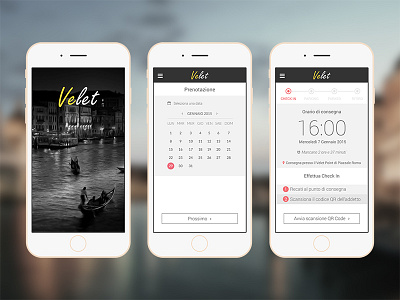Velet Valet Venice app booking flat illustrator interface mockup parking ui ux vector