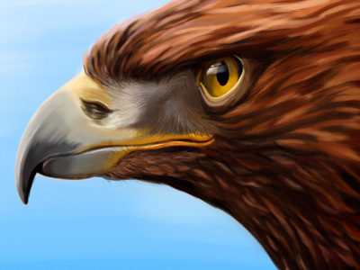 Eagle bird caucasus dagestani digital eagle eye face image painting picture sketch