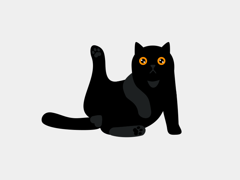 Cute black cat  by Julia on Dribbble