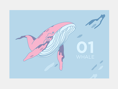 whale