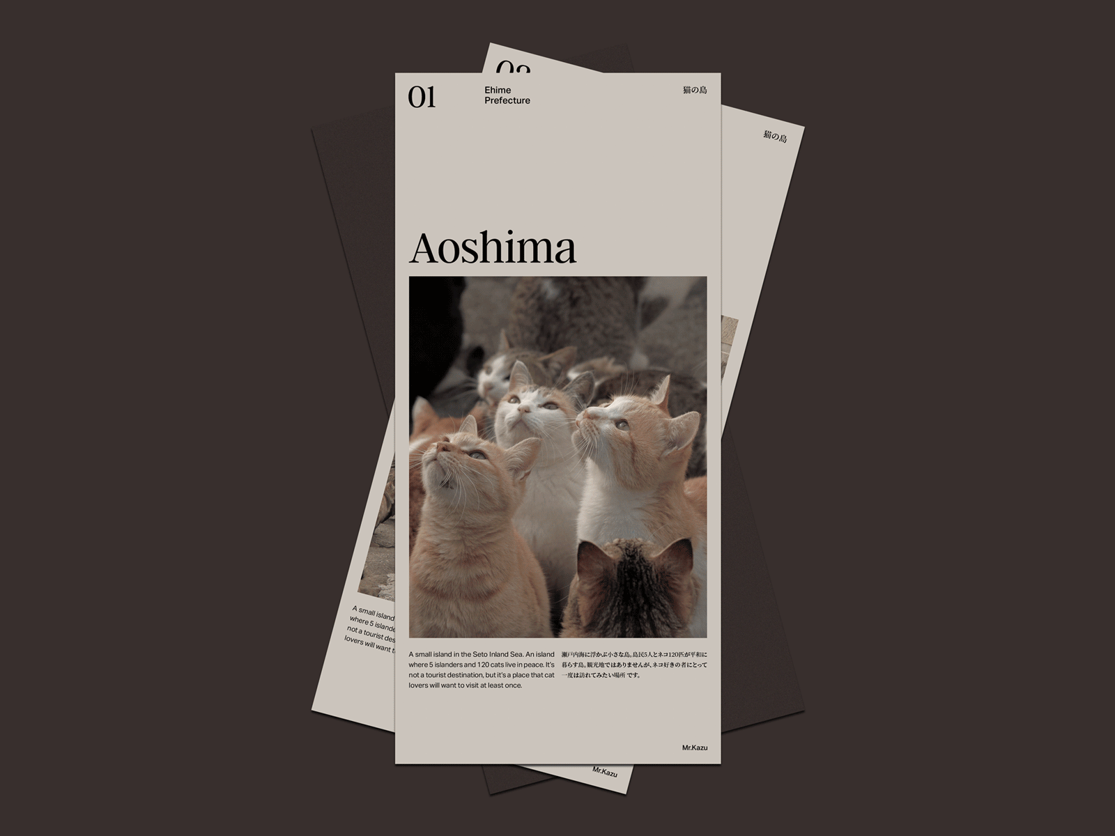 (01) AOSHIMA | 青島 aoshima cat island cats design dl graphic design island japan layout print
