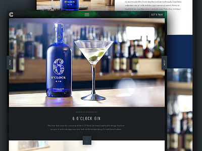 Green Chameleon Unused Portfolio Page case study concept dark explosion portfolio powder ui ux web web design website