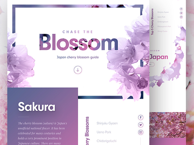 Cherry Blossom Landing Page 🌸 clean concept homepage japan landing page travel ui ux web web design website