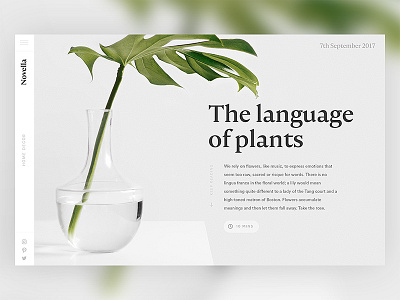 Novella Magazine Header / Day 07 clean header magazine minimal plant serif simple typography ui ux web design website