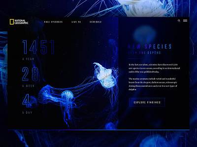 Nat Geo Species / Day 12 30dod interface jellyfish landing page nat geo ui underwater ux web design website