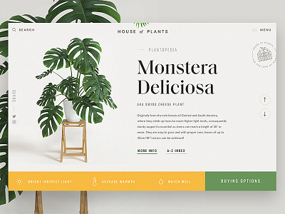 House of Plants 🌿 leaves minimal plant serif ui ux web web design website