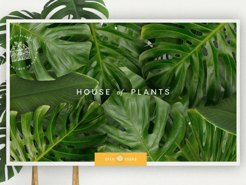 House of Plants Interaction 🌿 animation leaves minimal plant serif ui web web design website