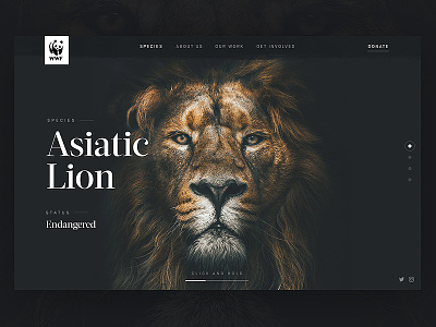 WWF: Header Concept animal dark endangered header hero interface lion ui ux web web design wwf