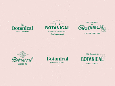 Botanical Coffee Type Explorations brand branding coffee distressed lettering logo stamp type typography vintage