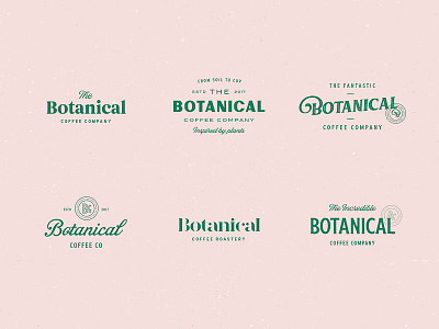 Botanical Coffee Type Explorations