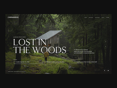 Lost in the Woods animation brand branding clean interface landing page logo minimal photography typography ui ui design ux web web design web designer website