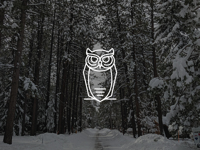 Owl Logo brandmark logo logo design owl owl illustration owl logo