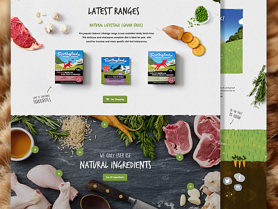 Forthglade cats dogs food homepage illustration interface layout organic texture ui web website
